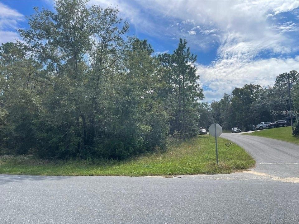 待售: $35,000 (0.31 acres)