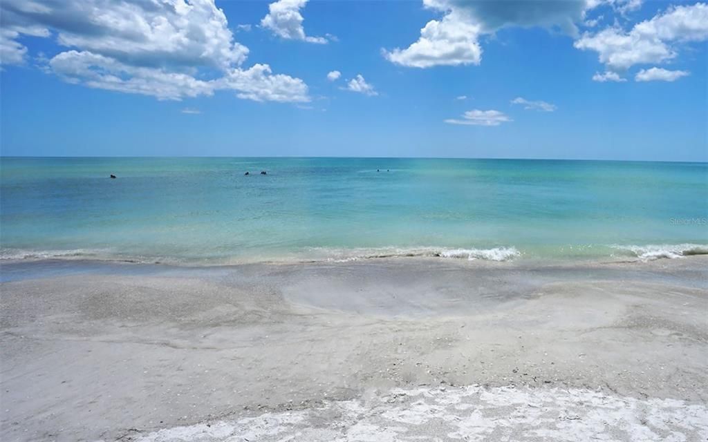 На продажу: $6,995,000 (3 спален, 3 ванн, 3380 Квадратных фут)