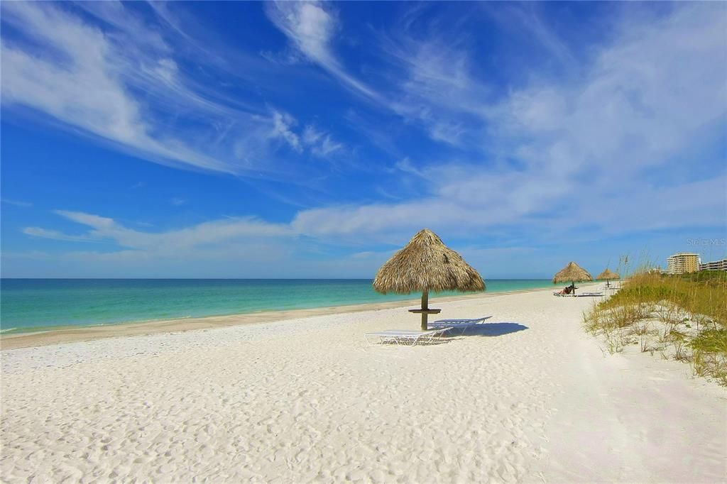 На продажу: $6,995,000 (3 спален, 3 ванн, 3380 Квадратных фут)