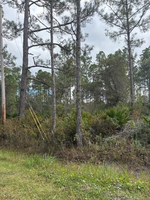 На продажу: $45,000 (0.99 acres)