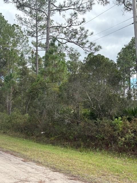 На продажу: $45,000 (0.99 acres)