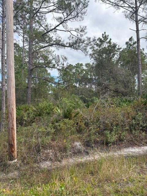 На продажу: $45,000 (0.99 acres)