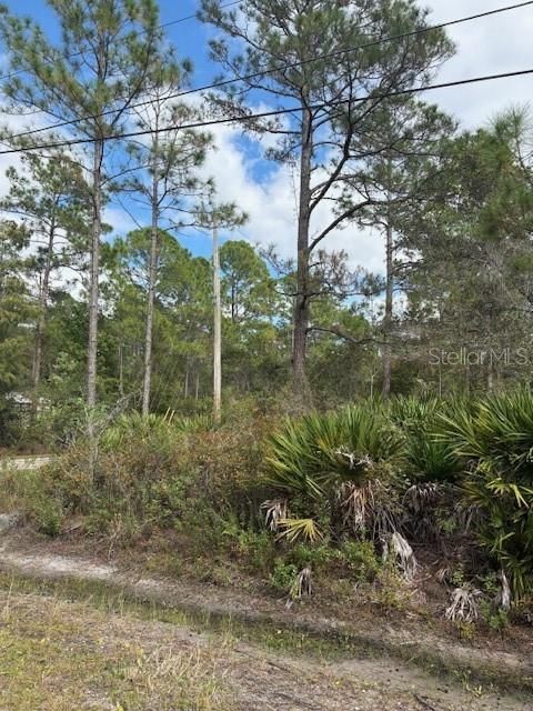 На продажу: $45,000 (0.99 acres)