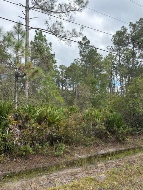 На продажу: $45,000 (0.99 acres)