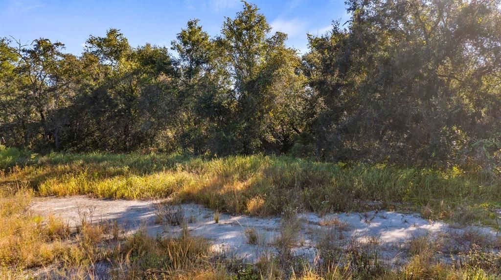 Activo con contrato: $279,000 (3.02 acres)