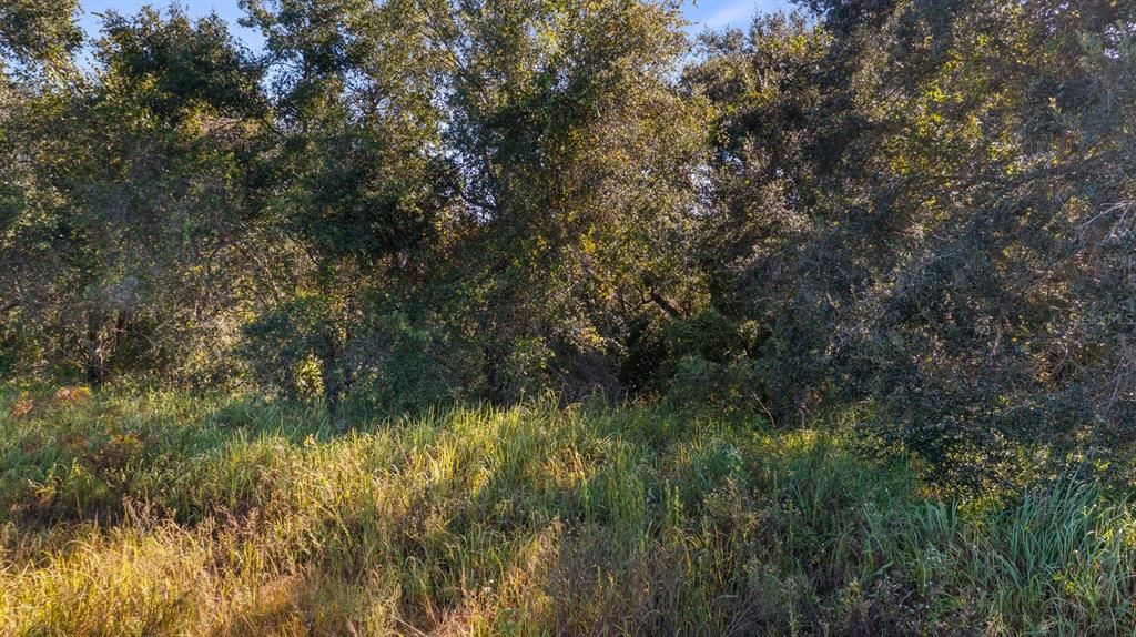 Activo con contrato: $279,000 (3.02 acres)