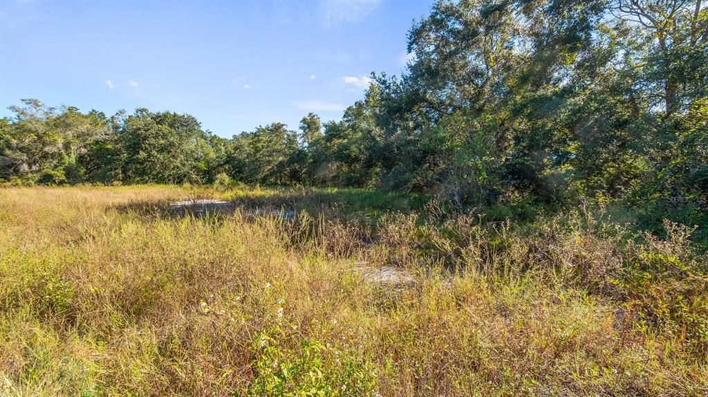 Activo con contrato: $279,000 (3.02 acres)