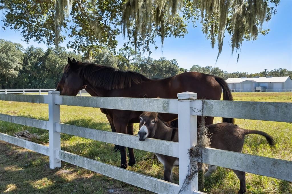 For Sale: $1,490,000 (4 beds, 3 baths, 2468 Square Feet)