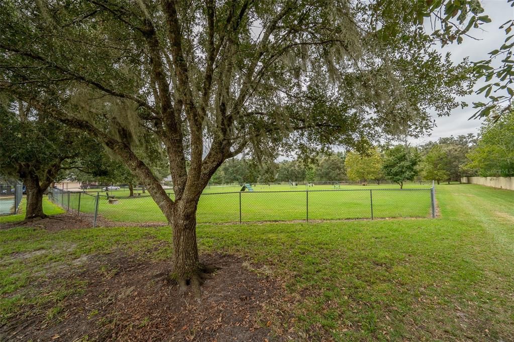 En Venta: $369,900 (3 camas, 2 baños, 1505 Pies cuadrados)