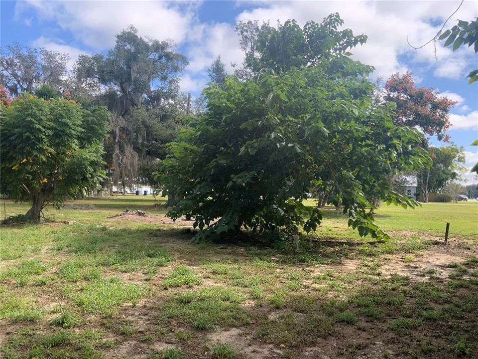 待售: $150,000 (0.31 acres)