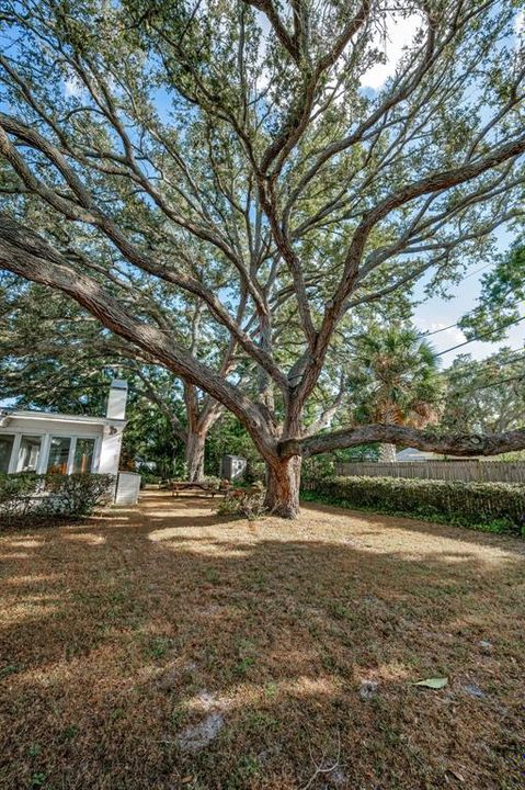 For Sale: $495,000 (4 beds, 3 baths, 2213 Square Feet)