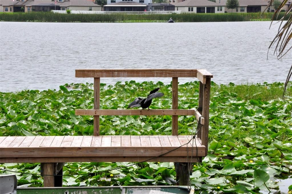 待售: $120,000 (2 贝兹, 2 浴室, 816 平方英尺)