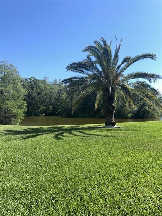 For Rent: $1,695 (2 beds, 2 baths, 1054 Square Feet)