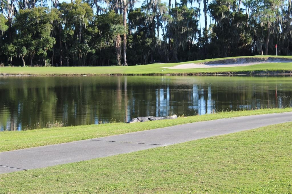 For Sale: $539,000 (2 beds, 2 baths, 1896 Square Feet)