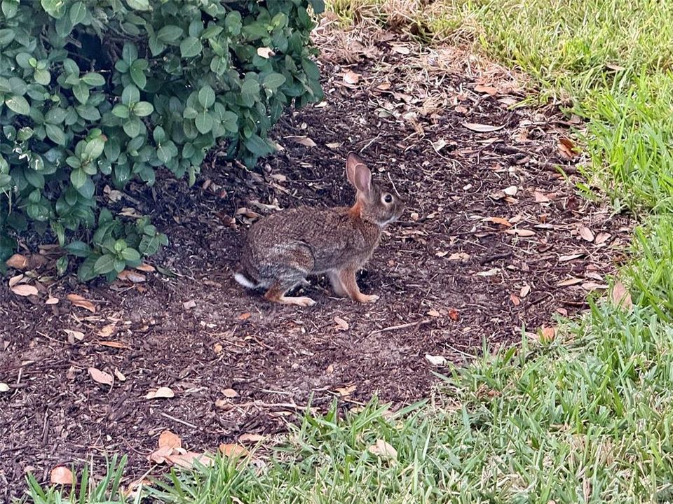 For Sale: $295,450 (2 beds, 2 baths, 1224 Square Feet)