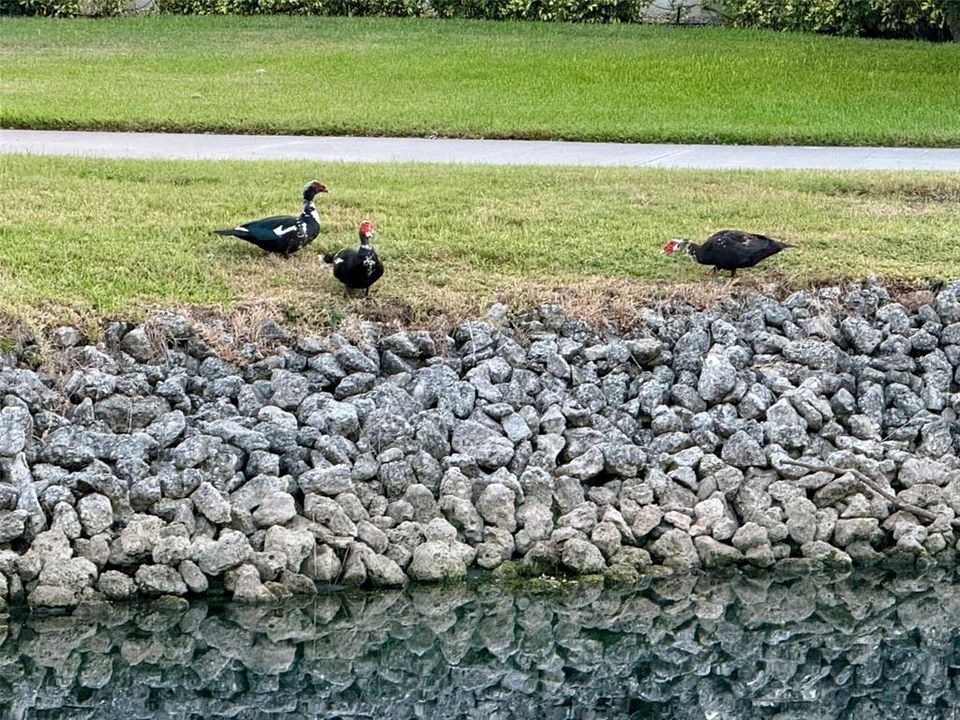 For Sale: $295,450 (2 beds, 2 baths, 1224 Square Feet)