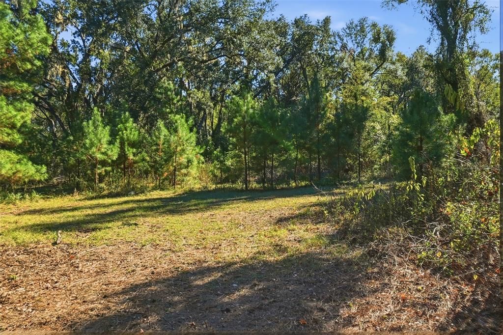 For Sale: $64,900 (10.50 acres)