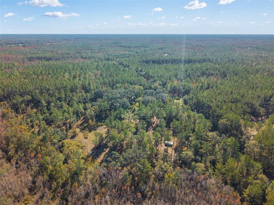 For Sale: $64,900 (10.50 acres)