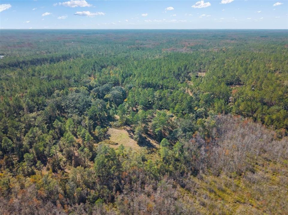 For Sale: $64,900 (10.50 acres)