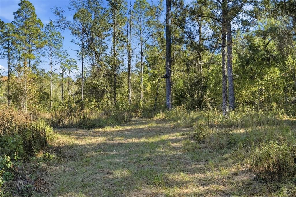 For Sale: $64,900 (10.50 acres)