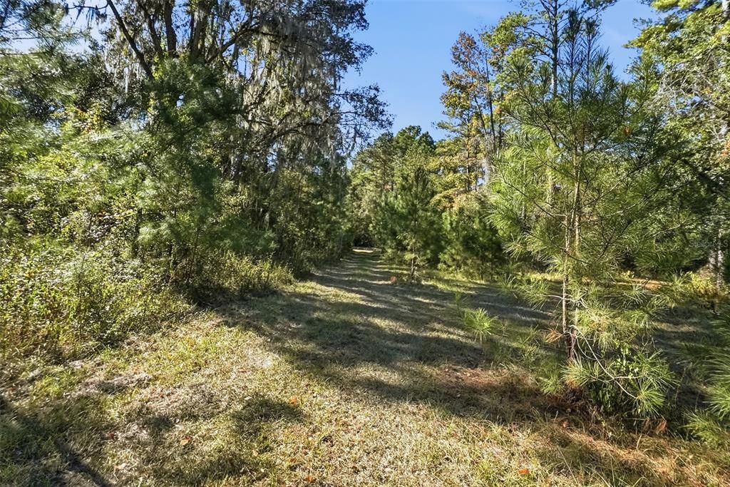 For Sale: $64,900 (10.50 acres)