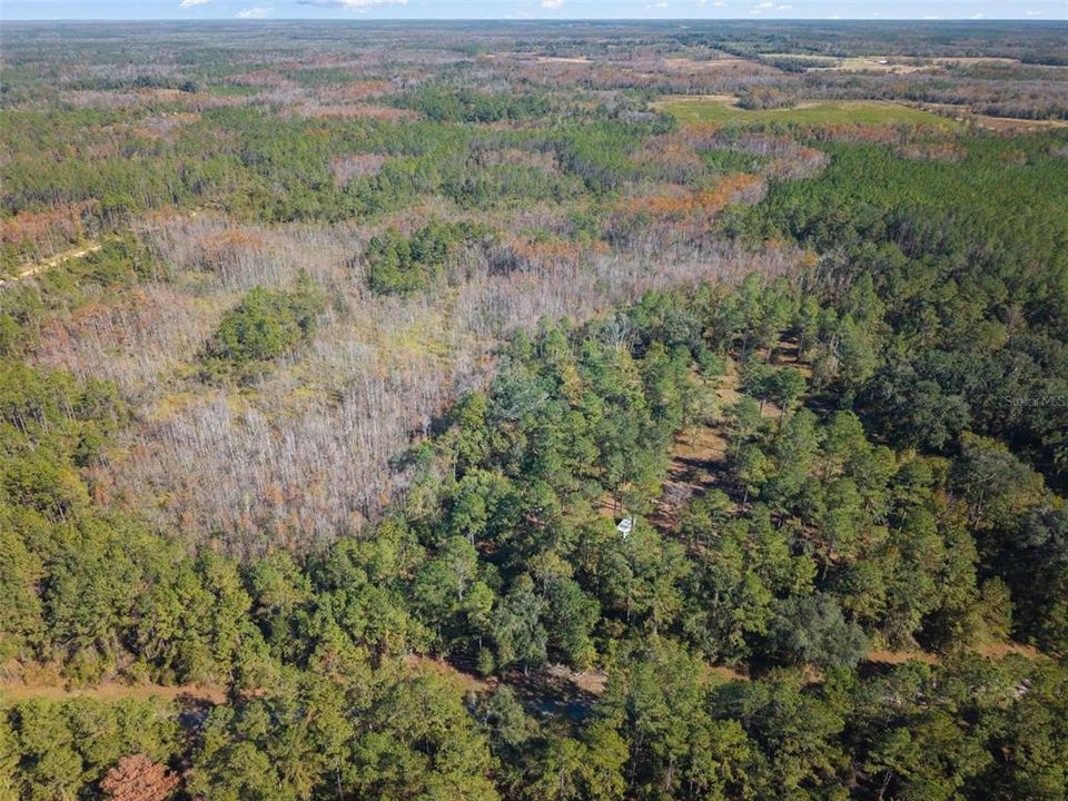 For Sale: $64,900 (10.50 acres)