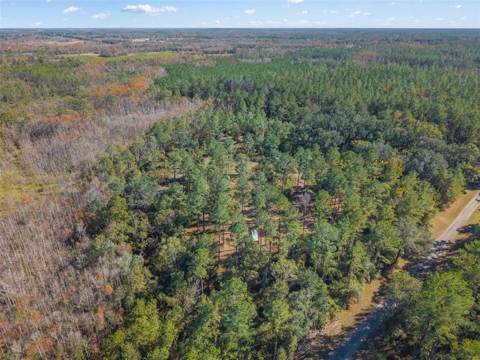 For Sale: $64,900 (10.50 acres)