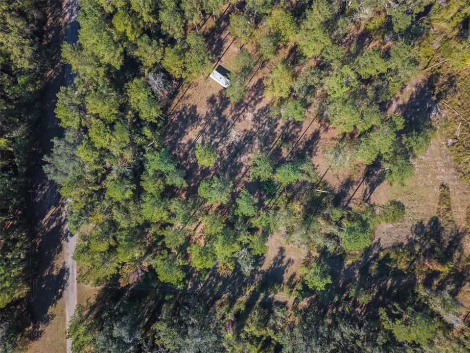 For Sale: $64,900 (10.50 acres)