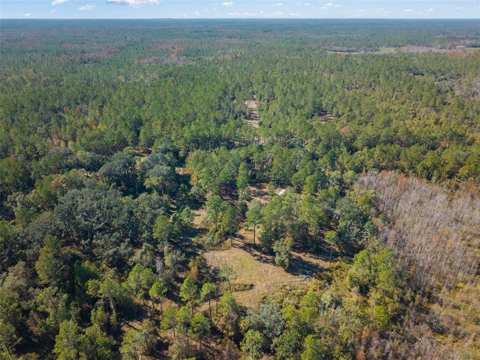 For Sale: $64,900 (10.50 acres)