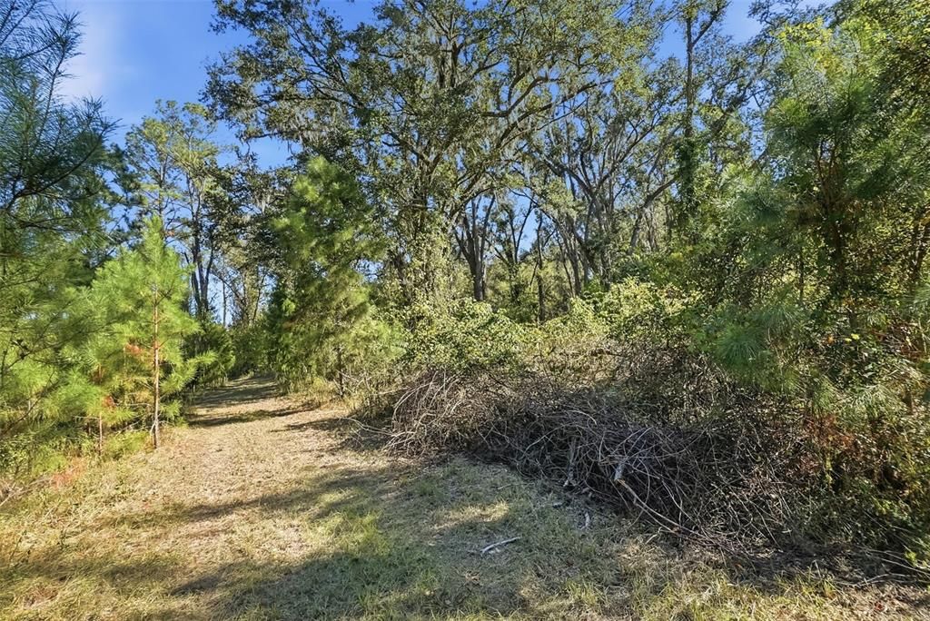 For Sale: $64,900 (10.50 acres)