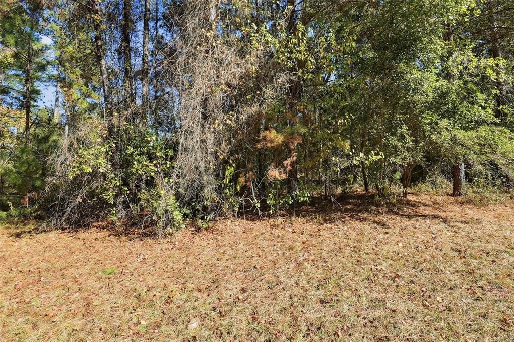 For Sale: $64,900 (10.50 acres)