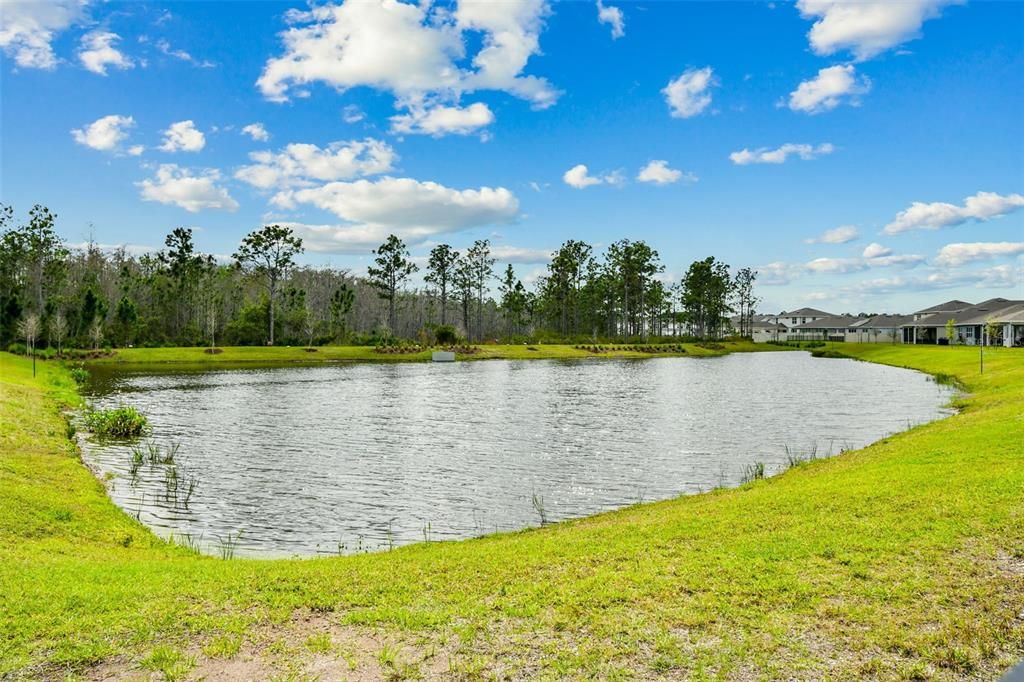 For Sale: $590,000 (4 beds, 2 baths, 2429 Square Feet)