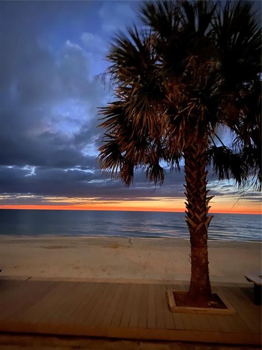 En Renta: $4,850 (2 camas, 2 baños, 910 Pies cuadrados)