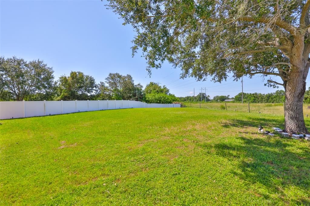 Active With Contract: $2,400 (3 beds, 2 baths, 1808 Square Feet)