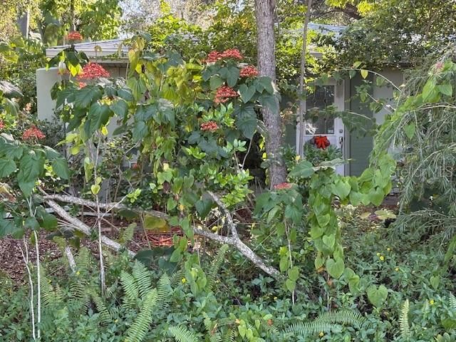 For Sale: $220,000 (3 beds, 1 baths, 1136 Square Feet)