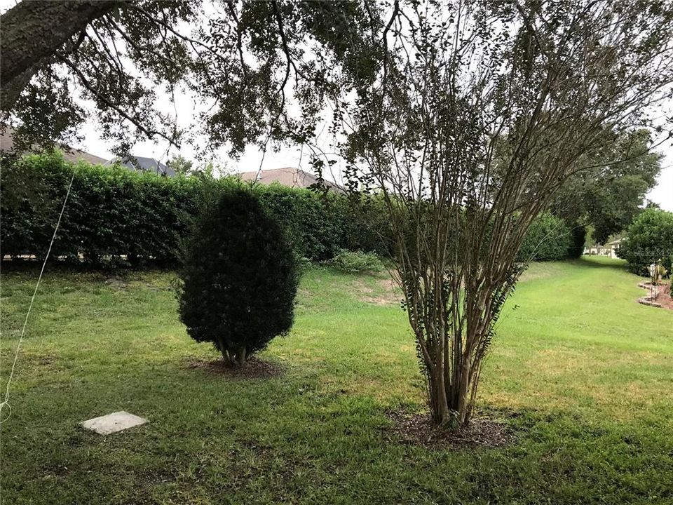 For Rent: $1,800 (3 beds, 2 baths, 1518 Square Feet)