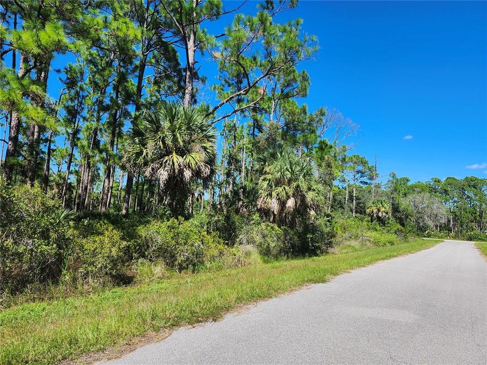 待售: $13,900 (0.23 acres)