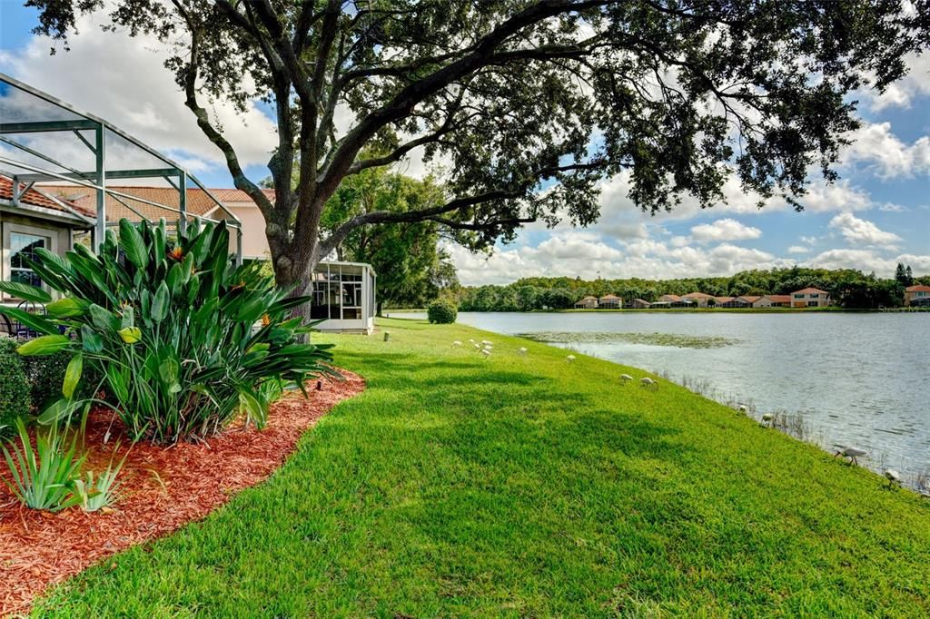 合同活跃: $595,000 (3 贝兹, 2 浴室, 1908 平方英尺)