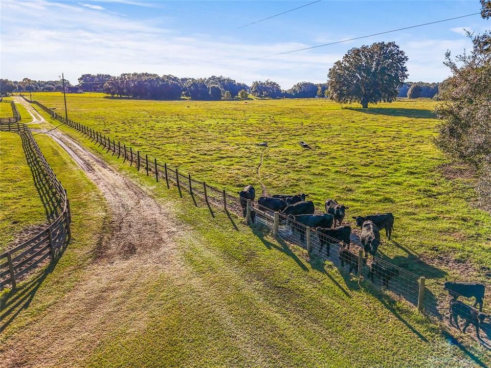 待售: $460,000 (20.01 acres)