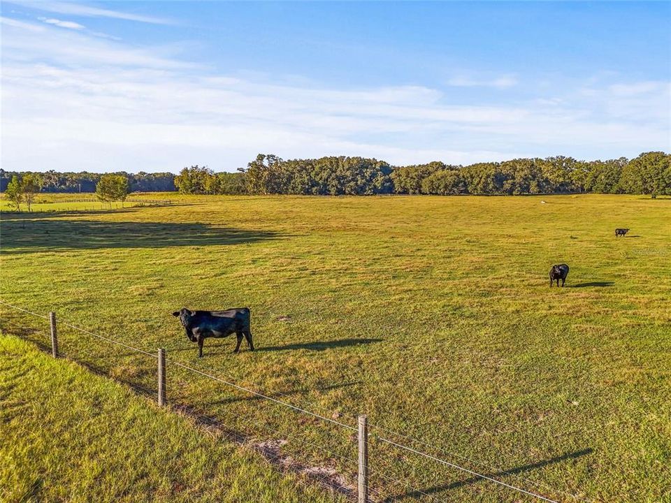 待售: $460,000 (20.01 acres)