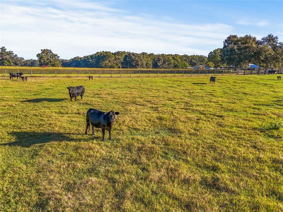 待售: $460,000 (20.01 acres)