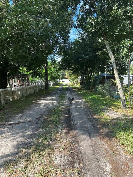 En Venta: $89,000 (0.49 acres)