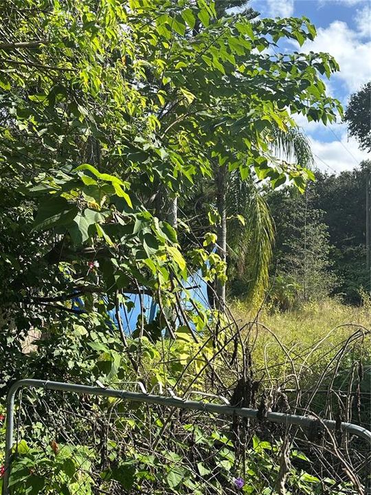 En Venta: $89,000 (0.49 acres)