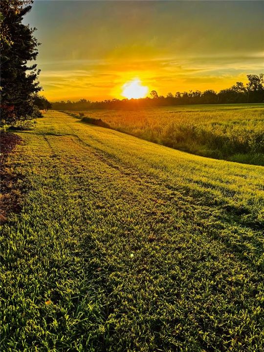 На продажу: $759,000 (5 спален, 3 ванн, 2907 Квадратных фут)