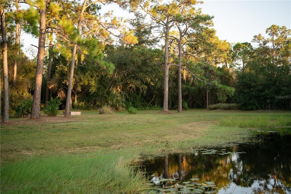 For Sale: $3,500,000 (6 beds, 5 baths, 6023 Square Feet)