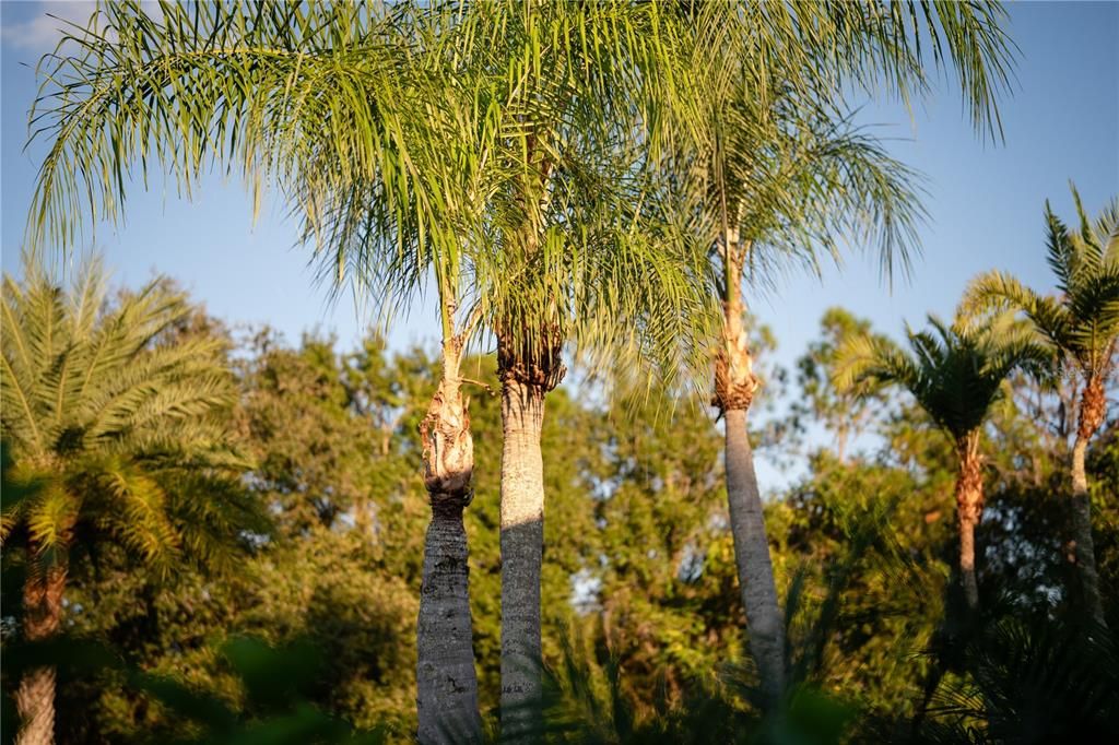 For Sale: $3,500,000 (6 beds, 5 baths, 6023 Square Feet)