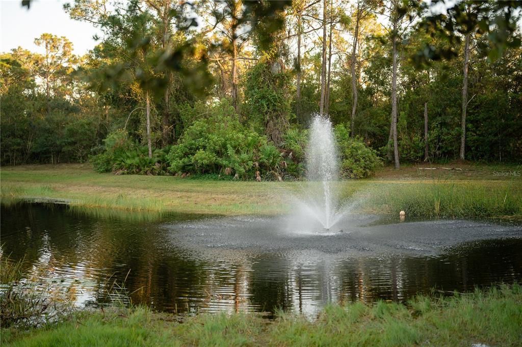 For Sale: $3,500,000 (6 beds, 5 baths, 6023 Square Feet)