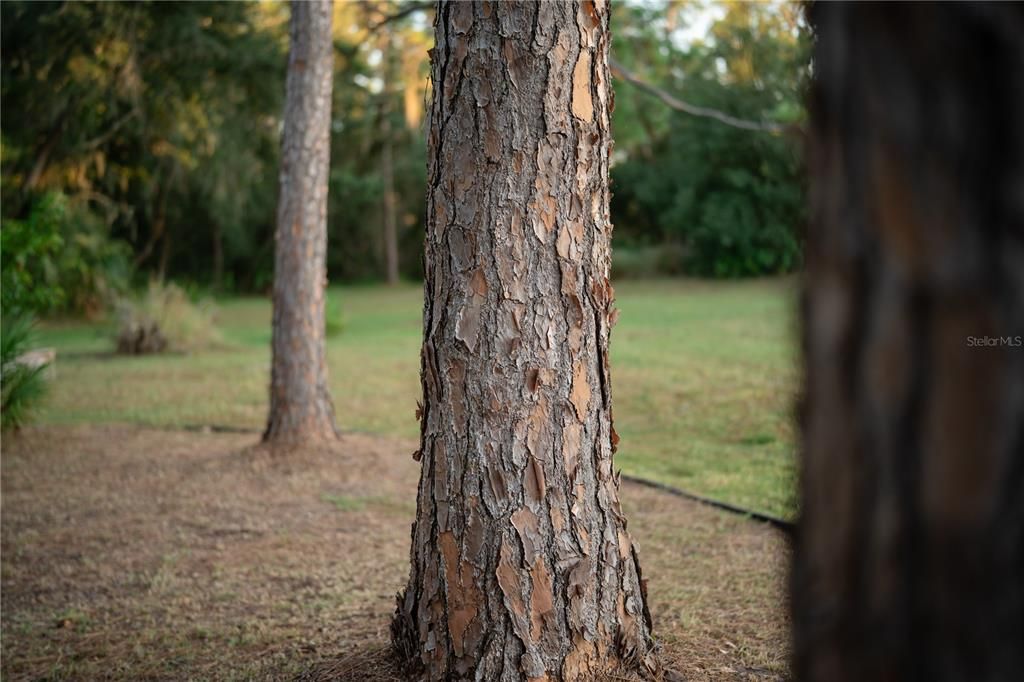 For Sale: $3,500,000 (6 beds, 5 baths, 6023 Square Feet)