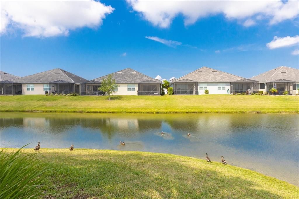 Active With Contract: $399,000 (2 beds, 2 baths, 1579 Square Feet)