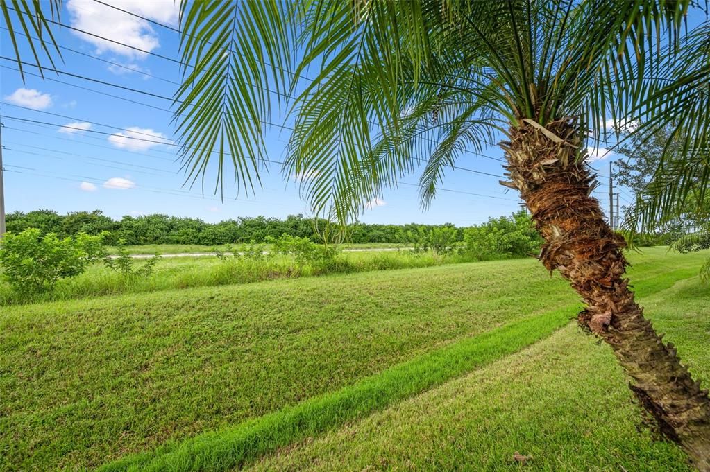 待售: $590,000 (3 贝兹, 2 浴室, 2061 平方英尺)